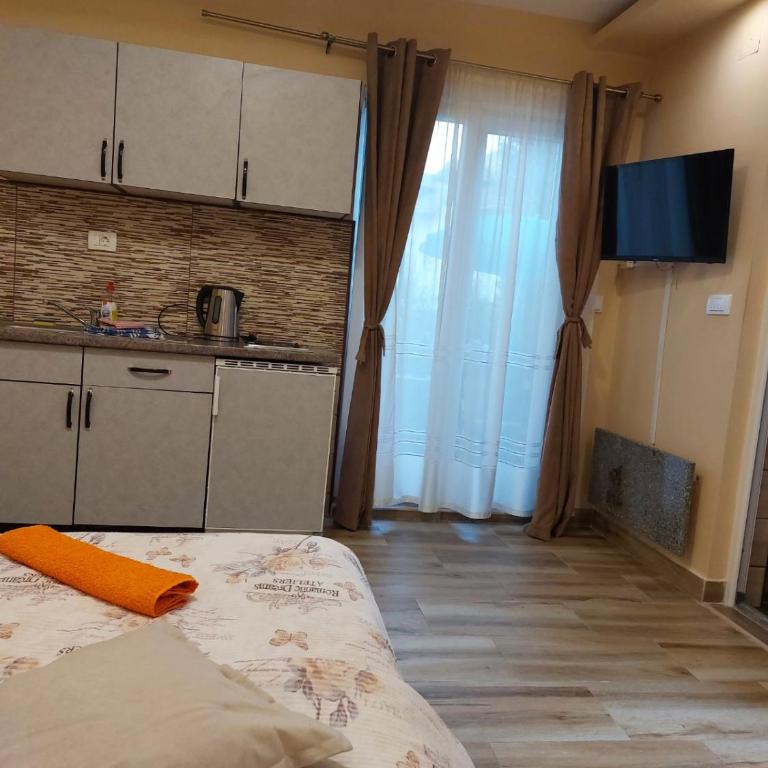 Apartmani KNEŽEVIĆ - Superior Apartment - 11