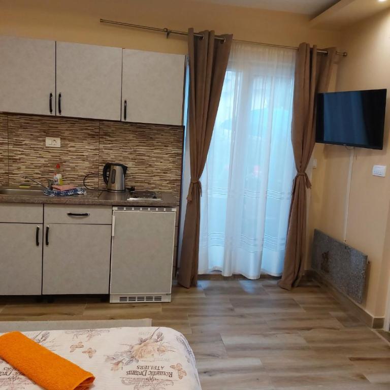 Apartmani KNEŽEVIĆ - Superior Apartment - 10