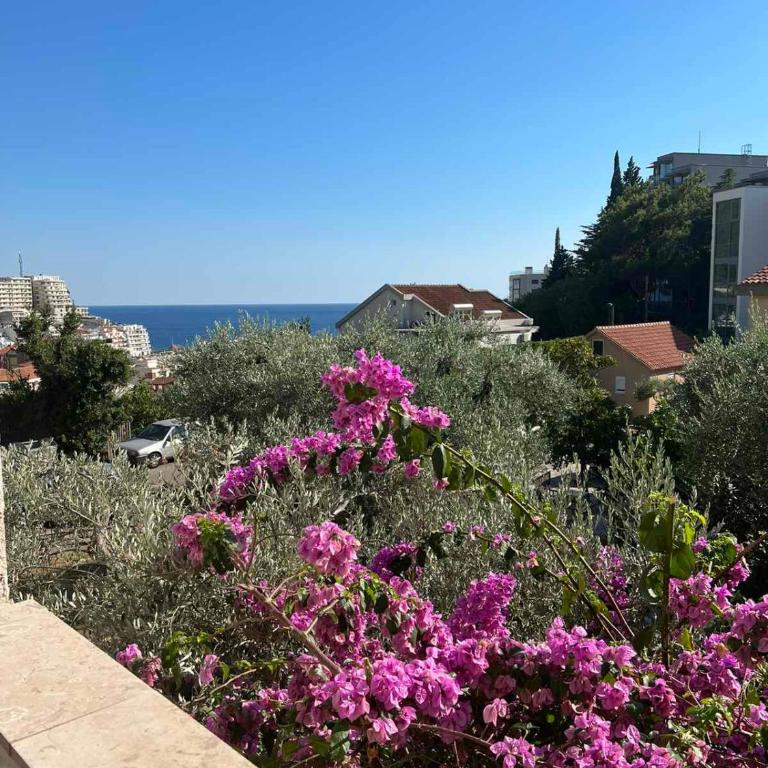 Guesthouse Vila Tamburic - Deluxe Triple Room with Sea View - 5