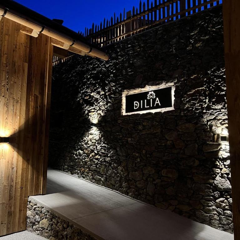 DILIA Chalets & Apartments - Chalet con 2 Camere da Letto - 31
