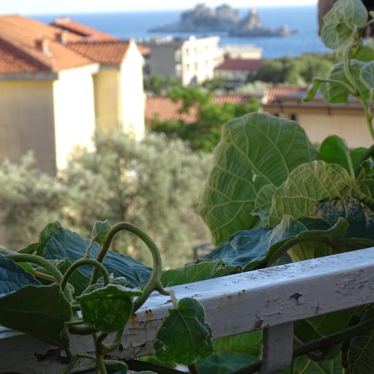 Apartment Hypnos Petrovac - Appartement 1 Chambre - 10