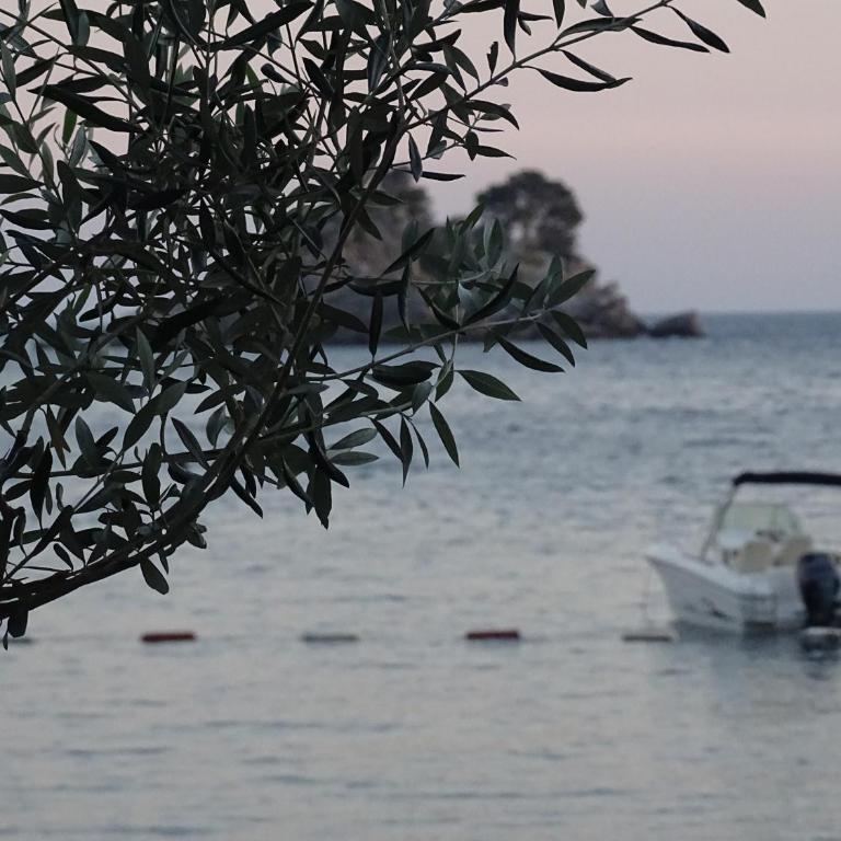 Apartment Hypnos Petrovac - Appartement 1 Chambre - 27