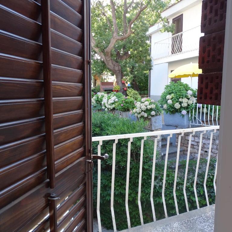 Apartment Hypnos Petrovac - Appartement 1 Chambre - 16