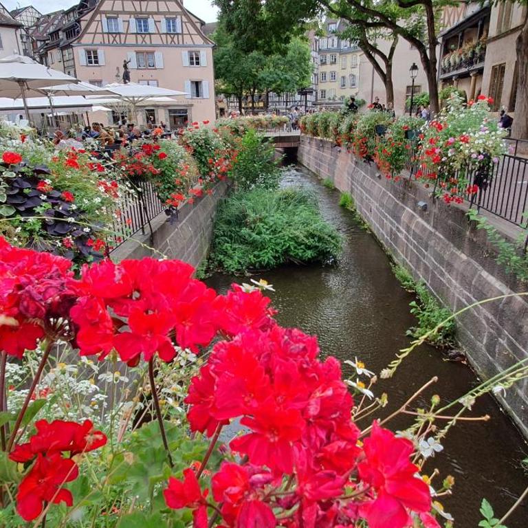 Le Blue St Léon : 2 pièces COZY Lit King Size WIFI - Apartment mit 1 Schlafzimmer - 41