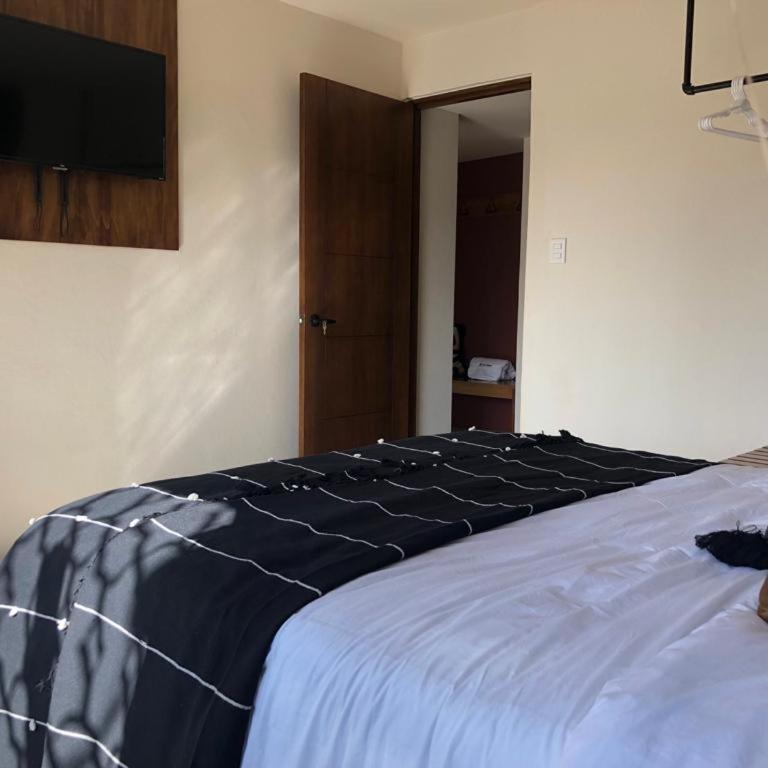 Casa Crónica - Suite - 25
