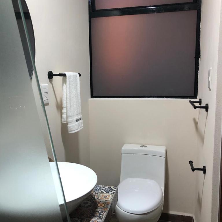 Casa Crónica - Single Room - 9