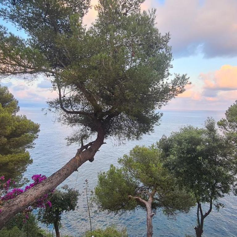 Villa Cokkinis fronte mare con ampio giardino - Villa con 3 Camere da Letto - 43