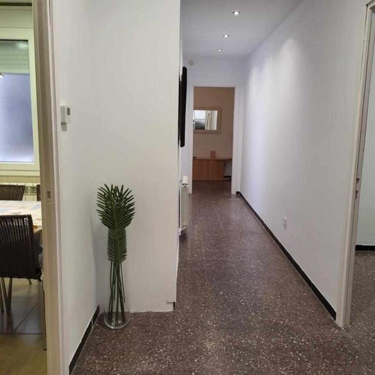 Roses Casc Antic SL Sant Elm 4 - Apartment - 7