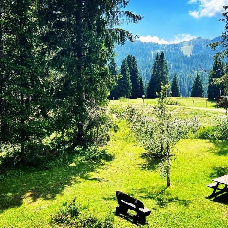 Cosy Lodge un rifugio romantico nel cuore delle Dolomiti - Appartamento con 2 Camere da Letto - 9