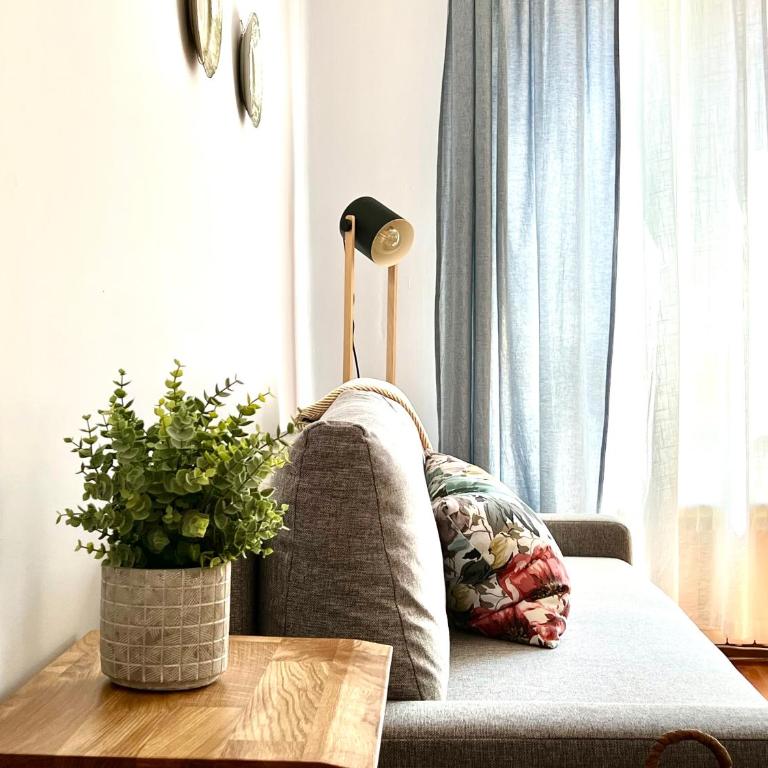 Housing León Catedral - Apartamento de 3 dormitorios - 14