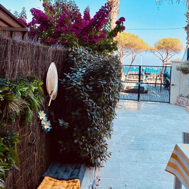 Bord de mer la Ciotat - Apartment mit 2 Schlafzimmern - 12
