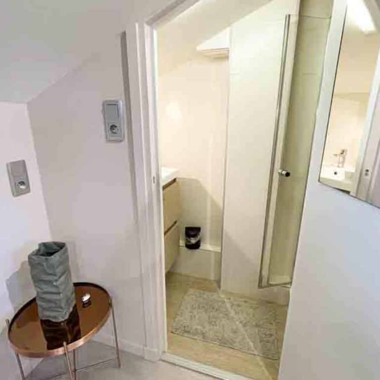 Charming townhouse with garden in the City of Love - Maison de Vacances - 15