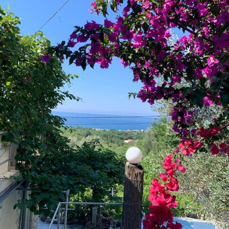 Apartments Mirian - Apartment with Sea View - 9