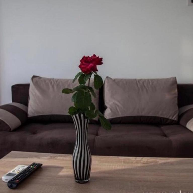 DeLux Apartmani - One-Bedroom Apartment - 4