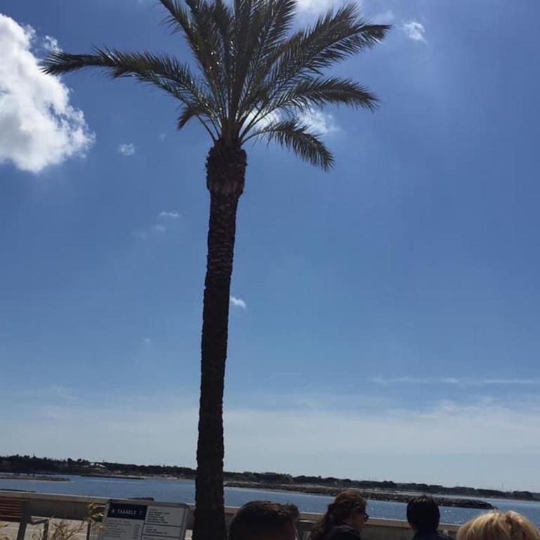 PORT CAMARGUE Studio vue mer - Studio mit Meerblick - 24