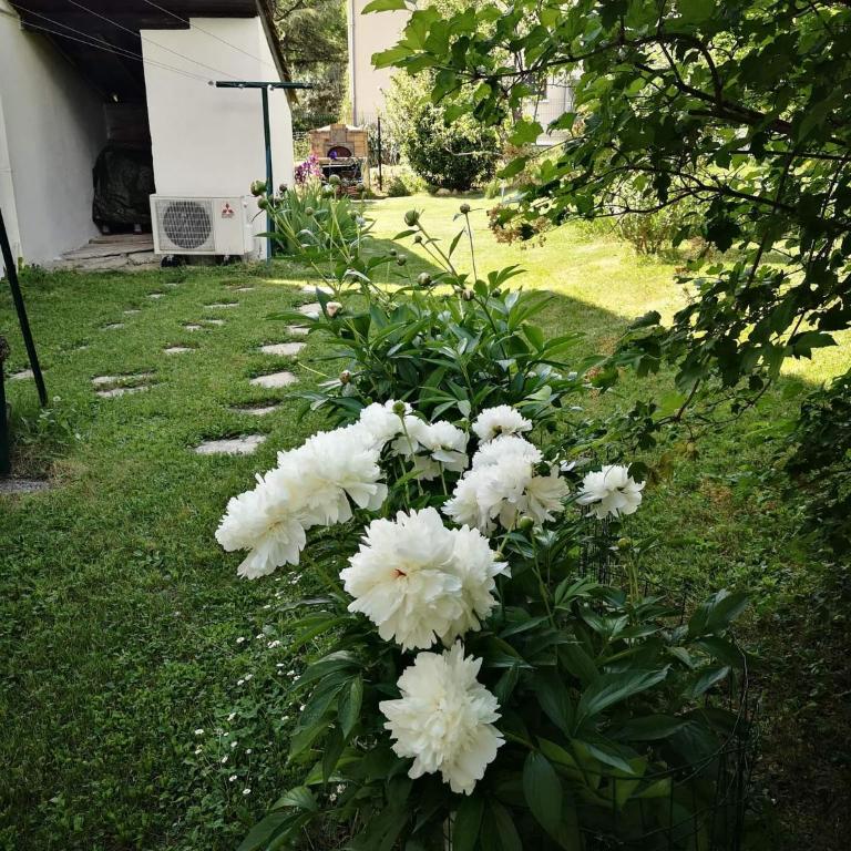 Maison 3 étoiles avec jardin pour familles, sportifs, curistes... - Maison 4 Chambres - 10