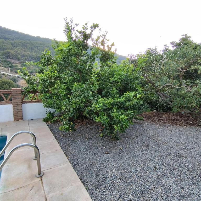 CORTIJO LA YEGUA - Two-Bedroom House - 18
