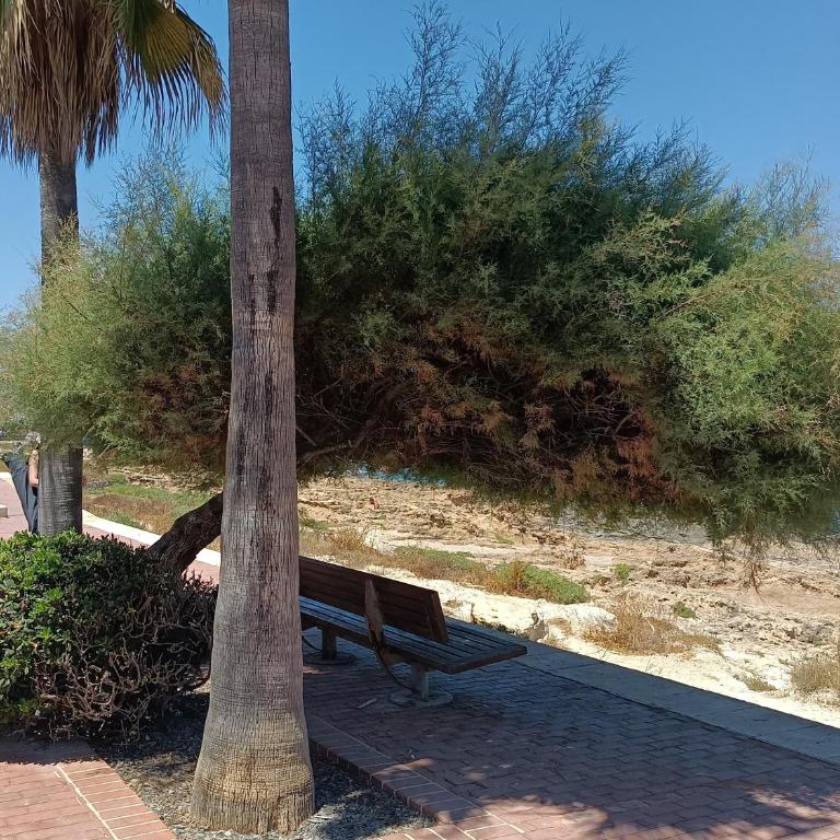 Apartamento a 100m de la Cala Blanca - Apartamento de 3 dormitorios - 17