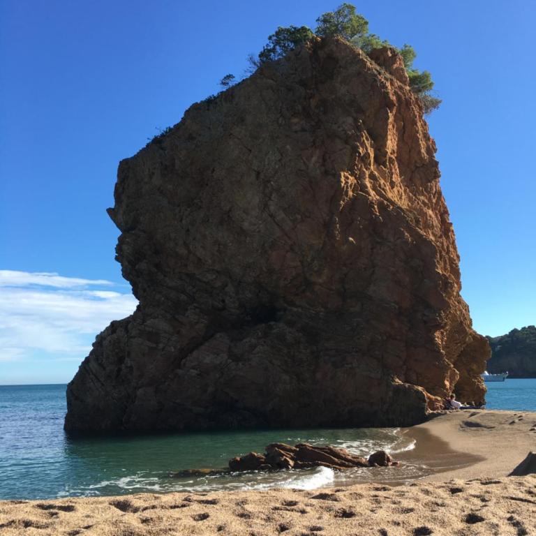 Cap Sa Sal - Sa Roca 3 - Apartamento de 2 dormitorios - 23