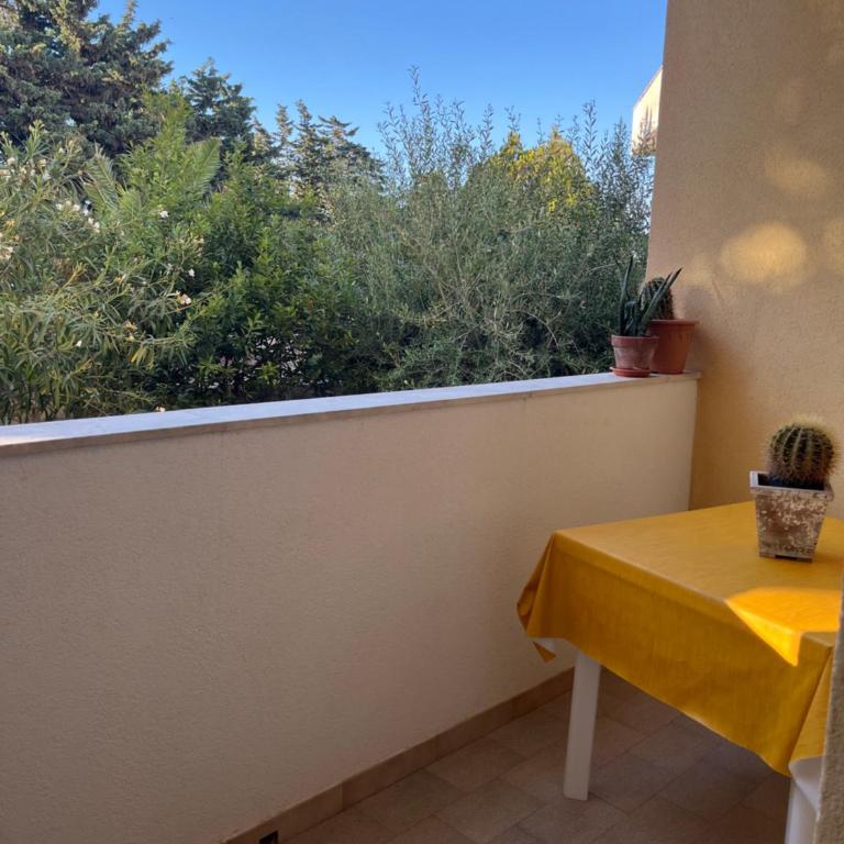 Roseda Casa Vacanze - Appartamento con 1 Camera da Letto - 8