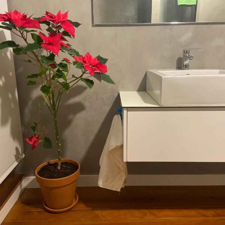 La linterna de San Lorenzo - Apartamento de 3 dormitorios - 26