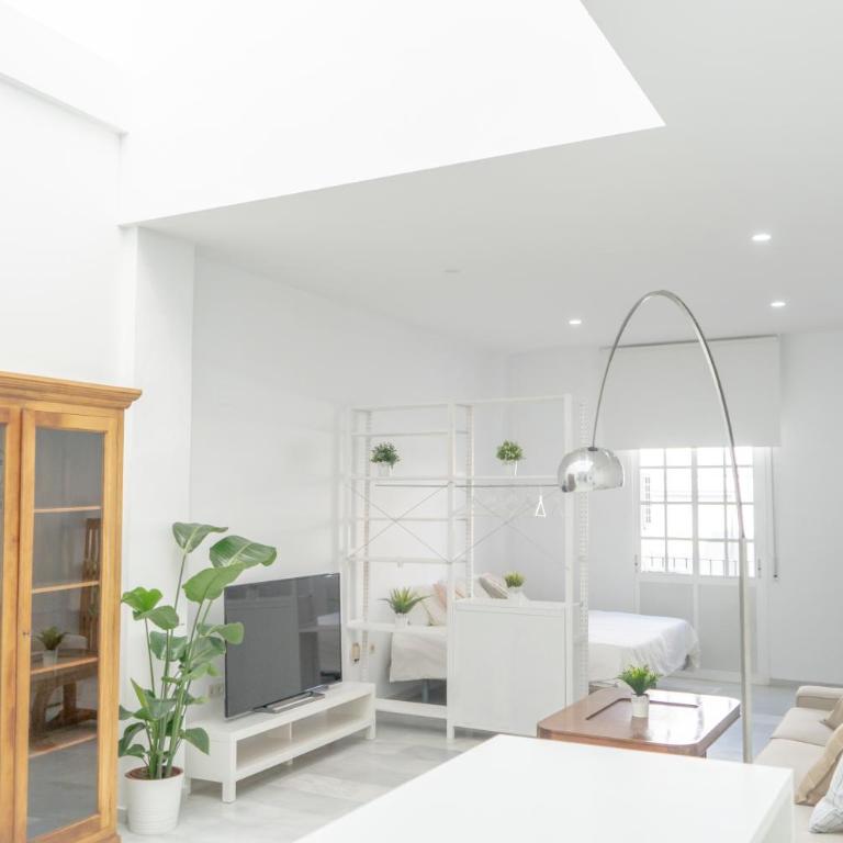 LOFT SÚPER LUMINOSO EN EL CENTRO DEL PUERTO DE SANTA MARÍA. - Apartamento de 1 dormitorio - 1
