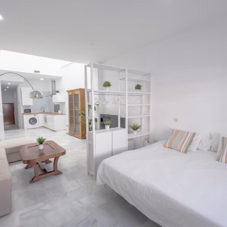 LOFT SÚPER LUMINOSO EN EL CENTRO DEL PUERTO DE SANTA MARÍA. - Apartamento de 1 dormitorio - 15