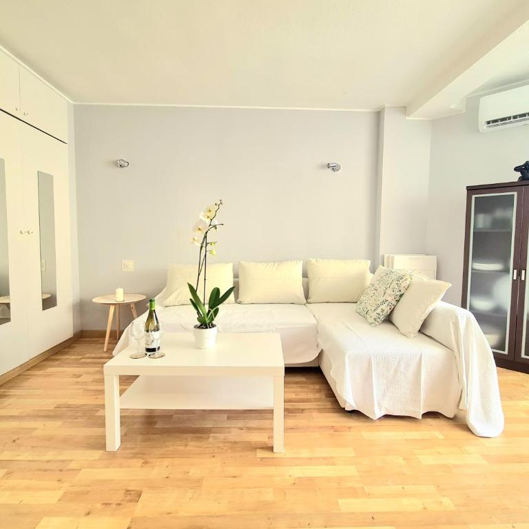 AA Guest - El Mono de Torre del Mar Eco Apartment - Apartamento Estudio - 3