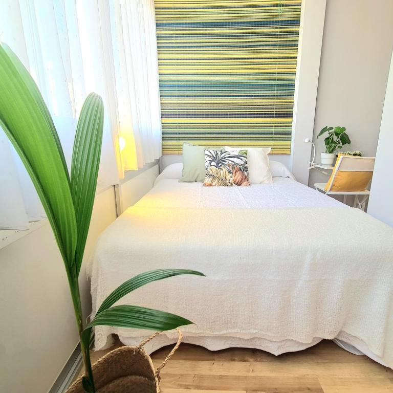 AA Guest - El Mono de Torre del Mar Eco Apartment - Apartamento Estudio - 8