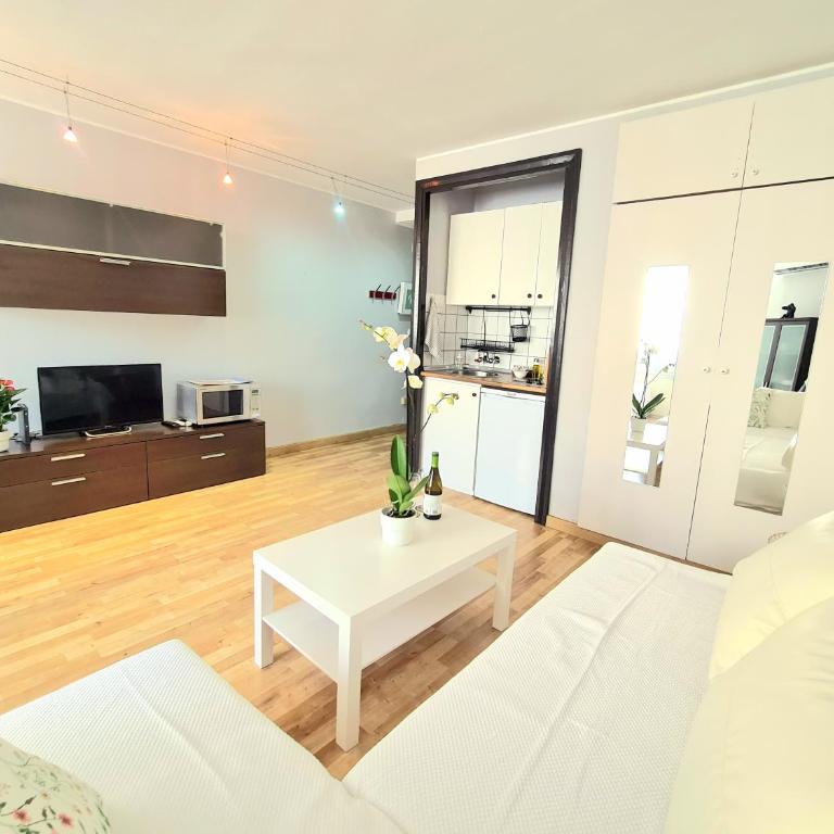 AA Guest - El Mono de Torre del Mar Eco Apartment - Apartamento Estudio - 4