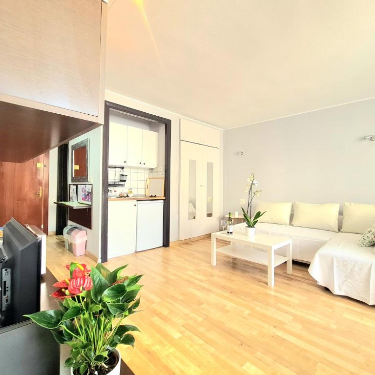 AA Guest - El Mono de Torre del Mar Eco Apartment - Apartamento Estudio - 2