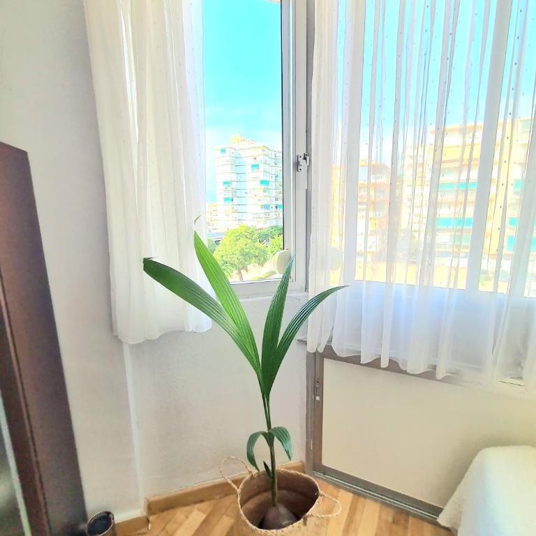 AA Guest - El Mono de Torre del Mar Eco Apartment - Apartamento Estudio - 12
