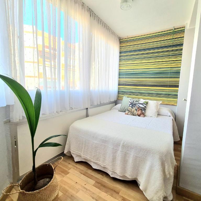 AA Guest - El Mono de Torre del Mar Eco Apartment - Apartamento Estudio - 7
