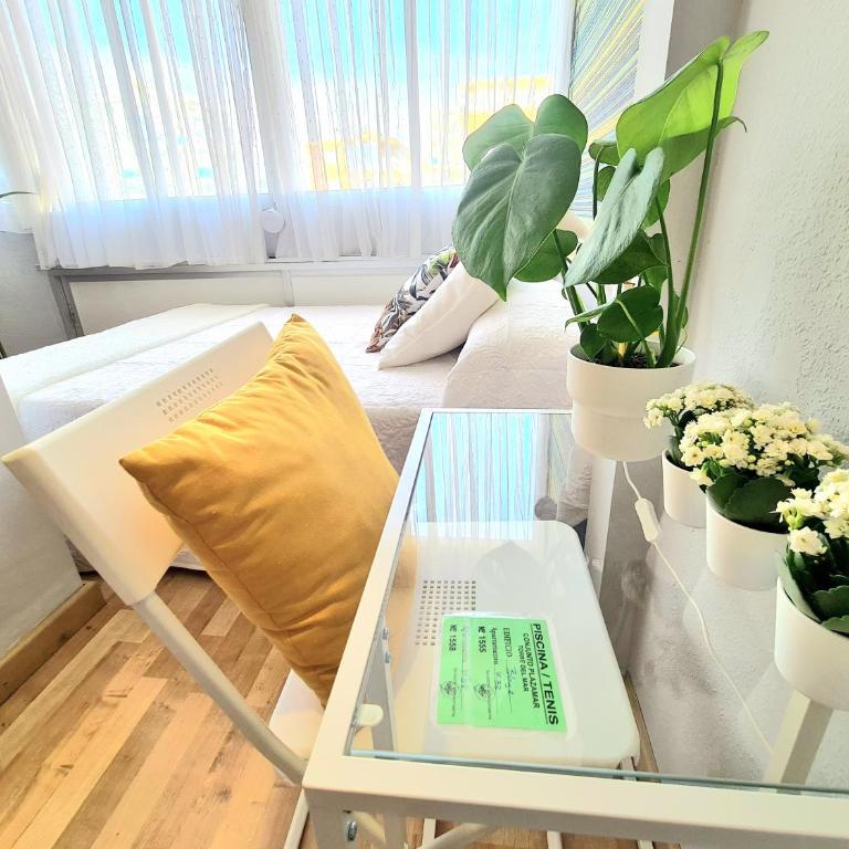 AA Guest - El Mono de Torre del Mar Eco Apartment - Apartamento Estudio - 25