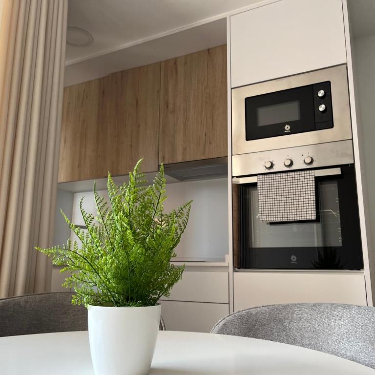 Sur Suites Palmeras 7 - Apartamento de 2 dormitorios - 10