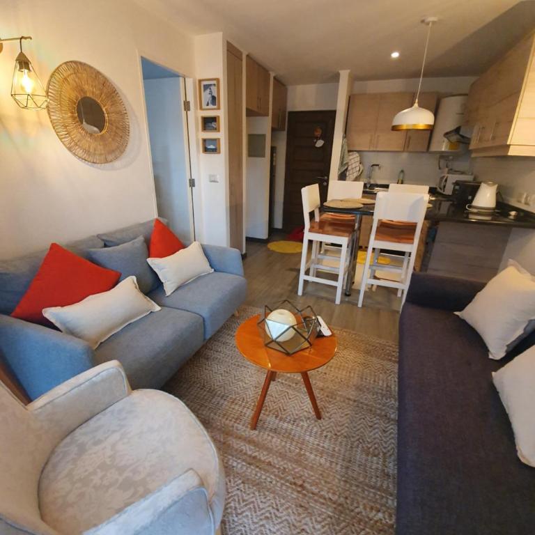 Hemoso y Céntrico Departamento - One-Bedroom Apartment - 13