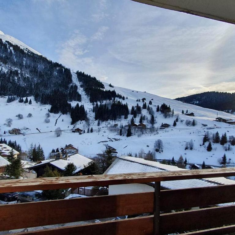 Appartement 2 pièces avec garage à La Clusaz, ski au pied - FR-1-459-169 - Monolocale - 4