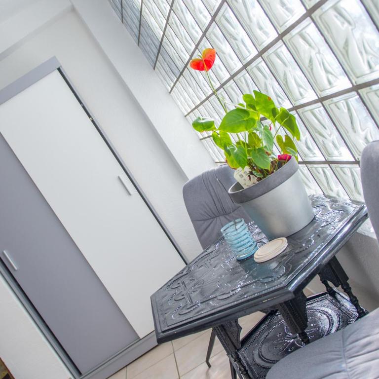 Studio Gallery - One-Bedroom Apartment - 21