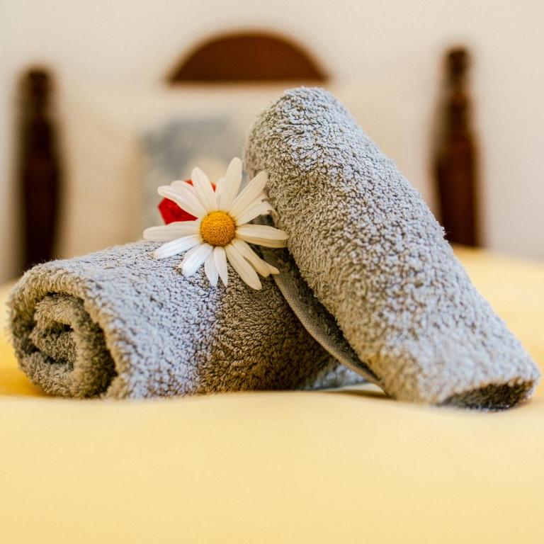 Ascheri Country House - Grimaldi, Ventimiglia - Villa con Vista Mare - 30