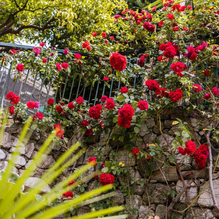 Ascheri Country House - Grimaldi, Ventimiglia - Villa con Vista Mare - 49