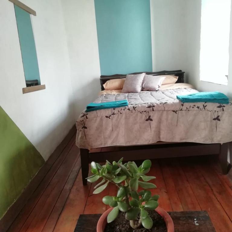 Mochilero Colonial - Habitación Doble - 1