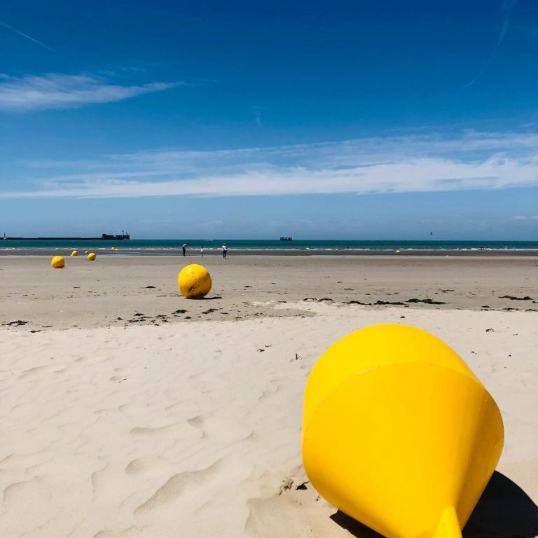 BELLEVUE -Appartement de Charme - Vue imprenable sur la Mer - Face à Nausicàa - Appartement - Vue sur Mer - 24
