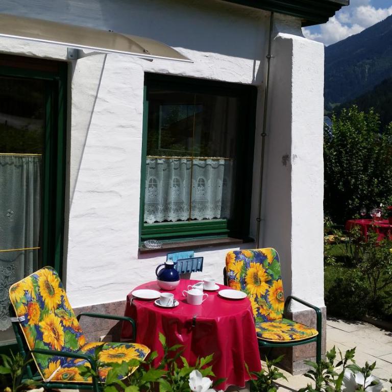 Appartementhaus Zillertal by PiaundDirk - Standard Apartment mit 1 Schlafzimmer und Terrasse - 7