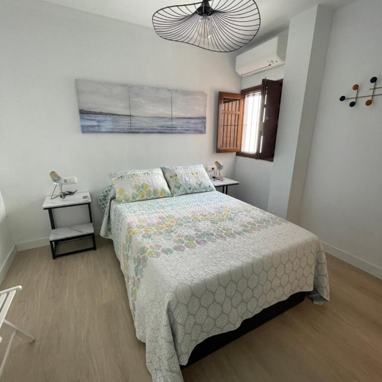 Luz de la Caleta - Apartamento de 1 dormitorio - 7
