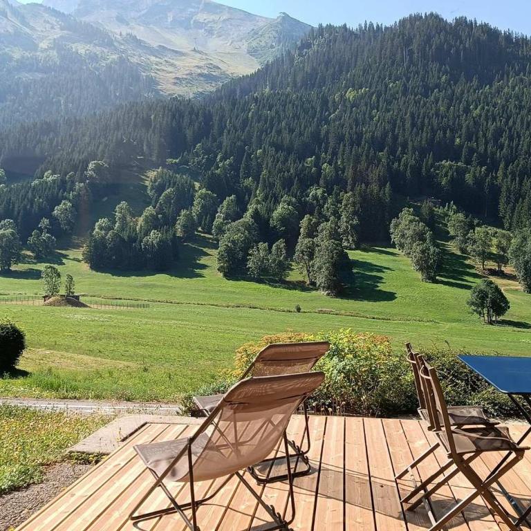 Appartement cosy, vue montagne, 4-6 pers, WIFI, animaux OK - FR-1-437-90 - Appartamento (6 Adulti) - 2