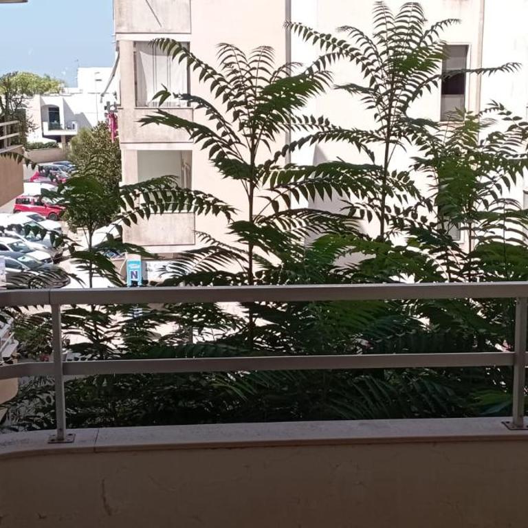 Casa dei Pini - Baia Verde - Appartamento con 3 Camere da Letto - 13