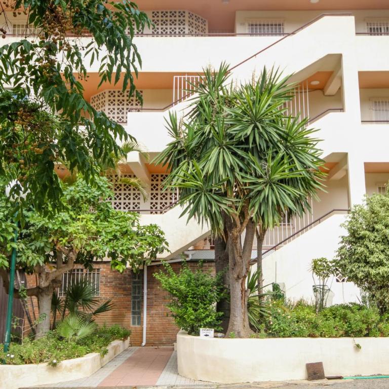 Casa Tropicana - Apartment - 17
