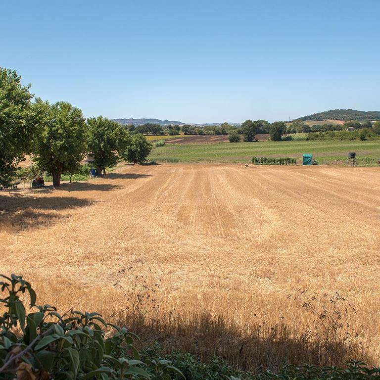 N255 - Numana, trilocale con aria condizionata - Two-Bedroom Apartment - 2