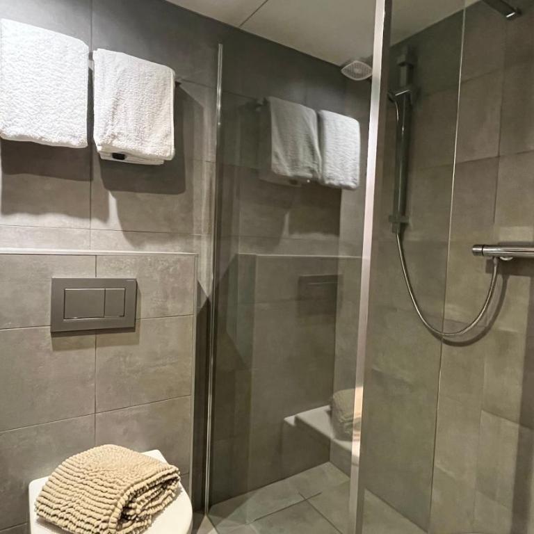 Grand Roc - Appartements & Studios - ANZERE - Studio - 11