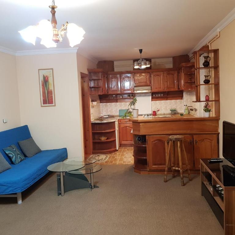Apartmani Filipi - Deluxe Apartment - 10